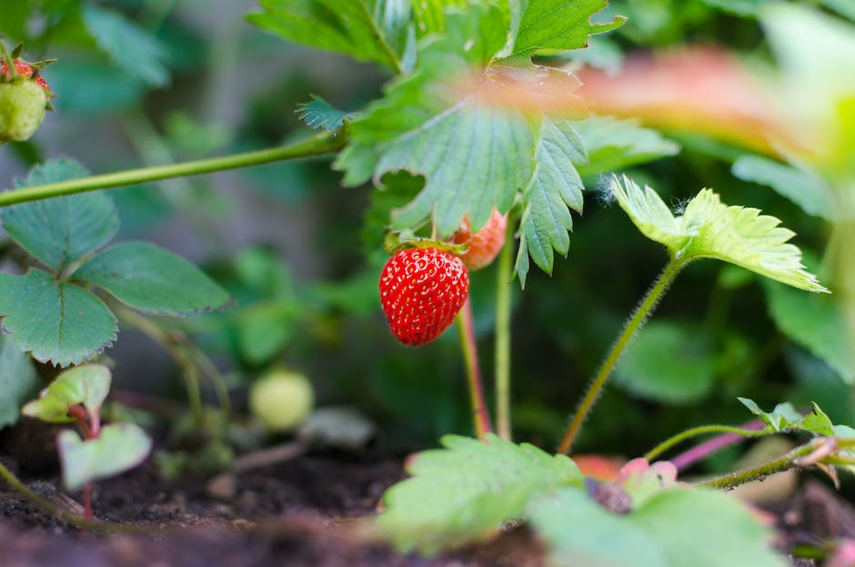 Farben, die zu Rot harmonieren