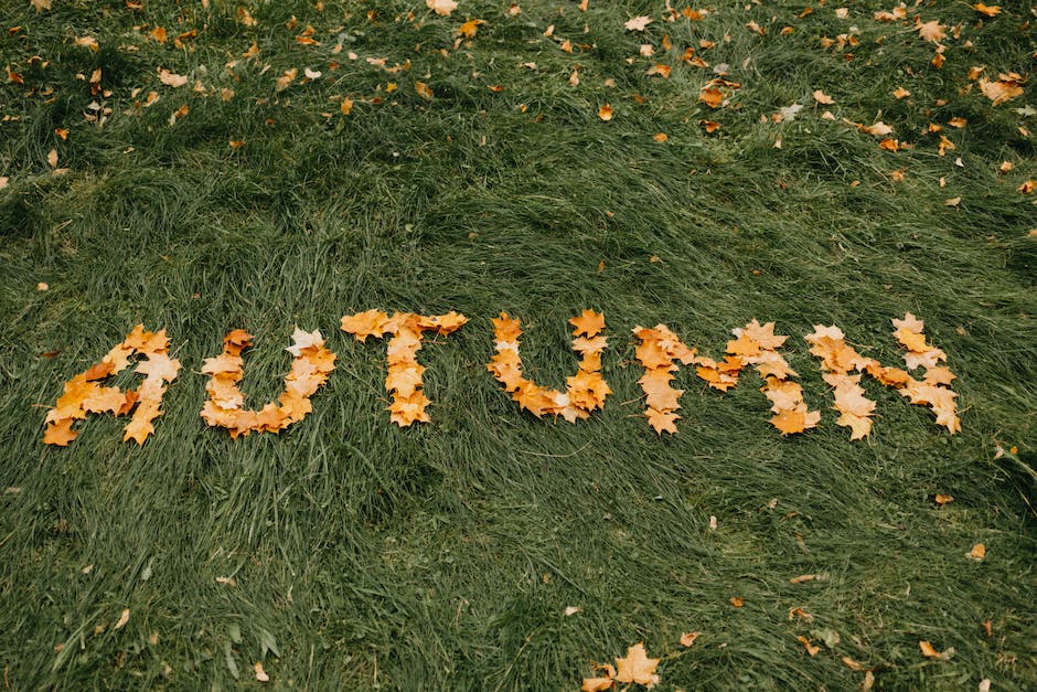  Blätterfärbung im Herbst kindgerecht erklärt