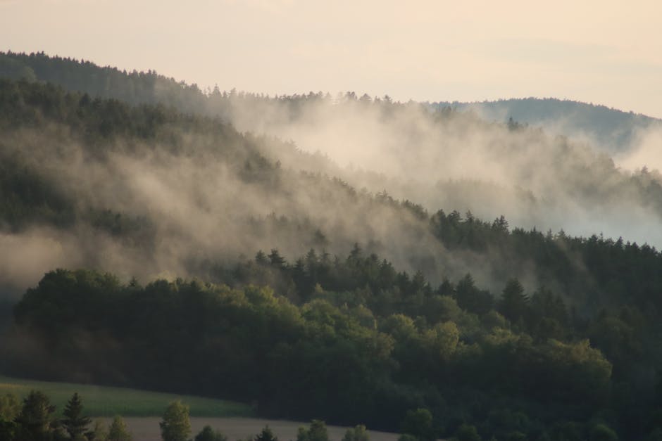 grüne Landschaften, Natur, Umweltbewusstsein