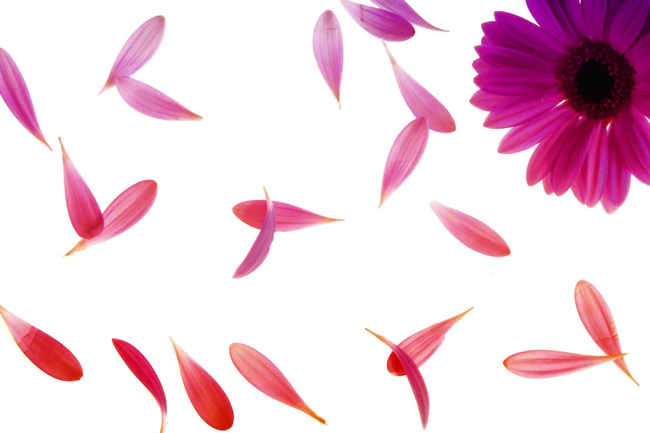 Farben mischen für lila Hintergrund
