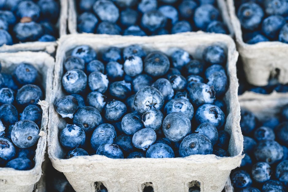 Hortensienblaue Farbe erhalten